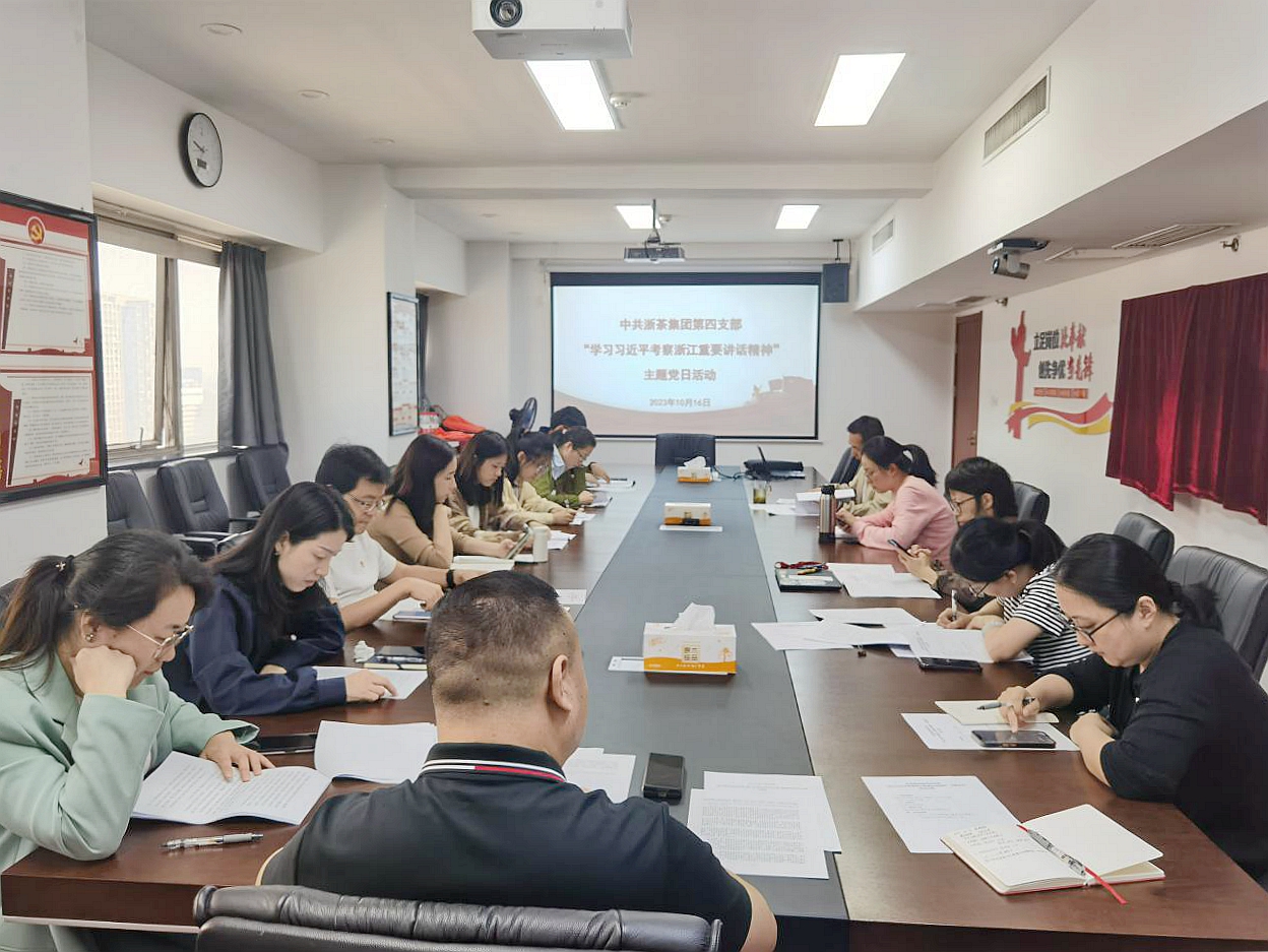 开云中国第四党支部开展“深入学习习近平总书记考察浙江重要讲话精神”主题党日活动